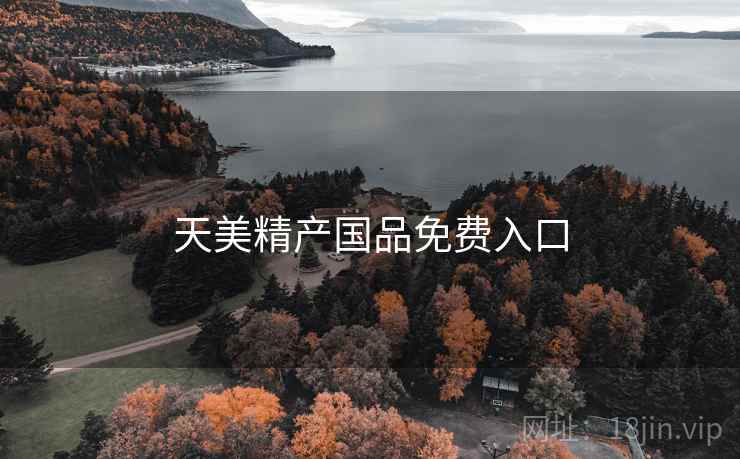 天美精产国品免费入口