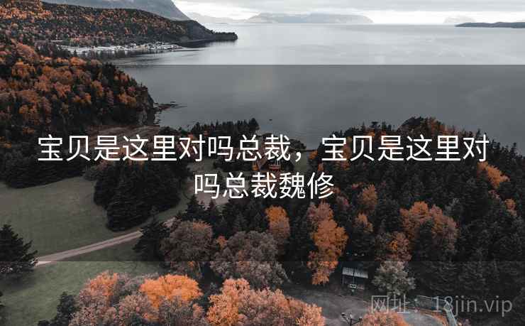 宝贝是这里对吗总裁，宝贝是这里对吗总裁魏修