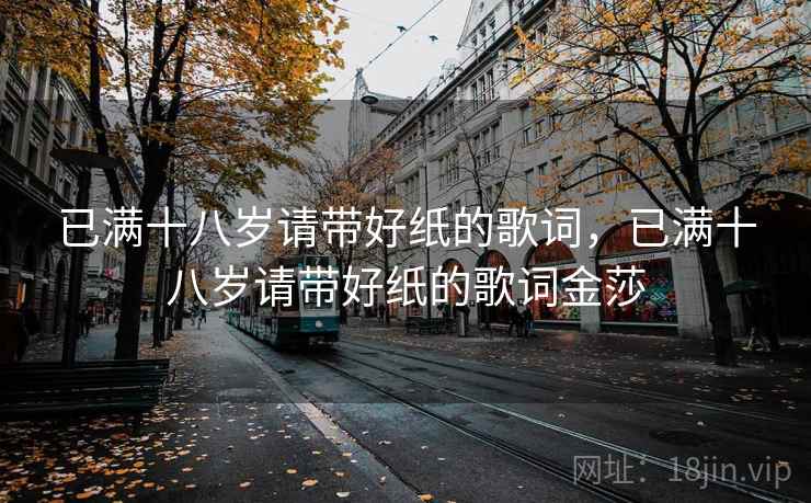 已满十八岁请带好纸的歌词，已满十八岁请带好纸的歌词金莎