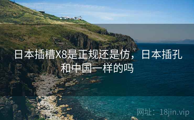 日本插槽X8是正规还是仿，日本插孔和中国一样的吗