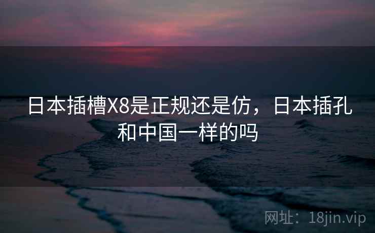日本插槽X8是正规还是仿，日本插孔和中国一样的吗