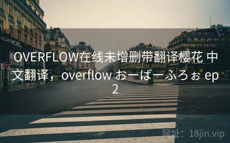 OVERFLOW在线未增删带翻译樱花 中文翻译，overflow おーばーふろぉ ep2