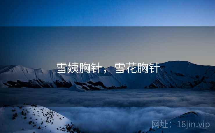 雪姨胸针，雪花胸针